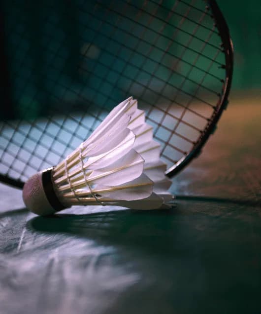 รูปสนาม TRUMQ Badminton